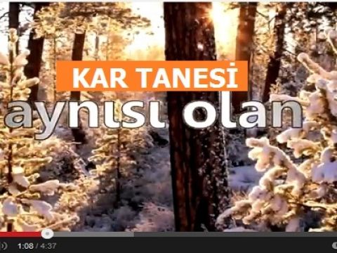 Bilimsel Araştırma; Kar Tanesi