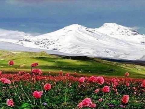Çevre Bilinci