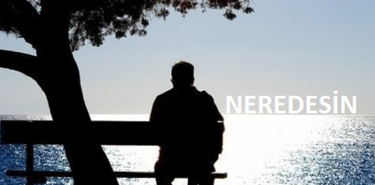 Neredesin