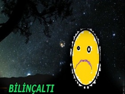 Bilinçaltı Akışı (Roman)
