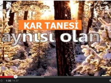 Bilimsel Aratrma; Kar Tanesi