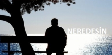 Neredesin