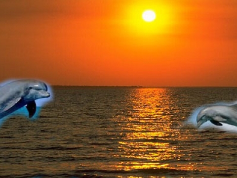 Deniz-See
