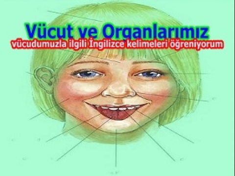 Vücut ve Sağlığımız