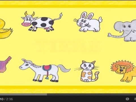 Lernen Tiere