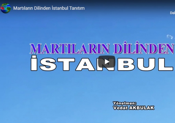 Martlarn dilinden stanbul