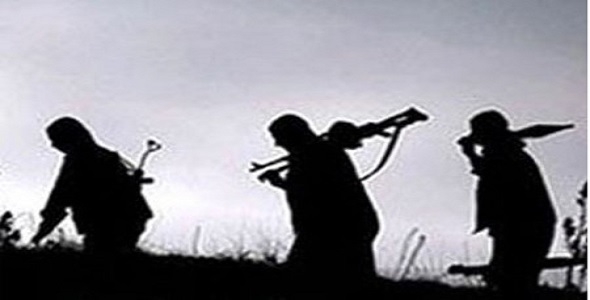 Fransa'daki Terör Saldırısı, Avrupa'da İslâm'a Fobi'ye Yönelik Bir Eylemdir