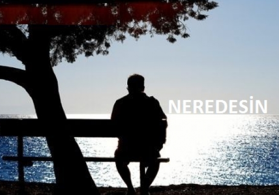 Neredesin
