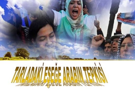 Tarladaki Eşeğe Arapların Tepkisi