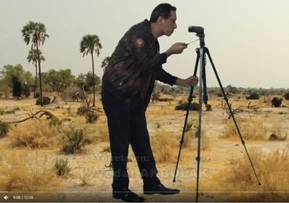 Afrika Ormanlarındaki Yaşam; Geyik ve Maymunlar