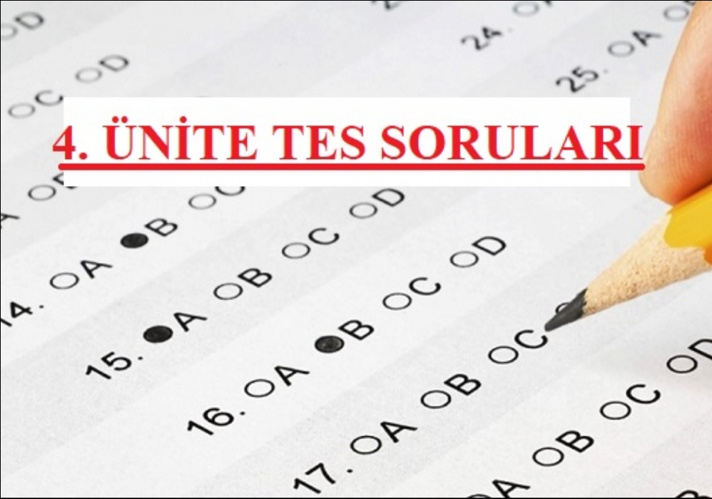 7. Sınıflar Sosyal Bilgiler 4. Ünite Test Soruları 