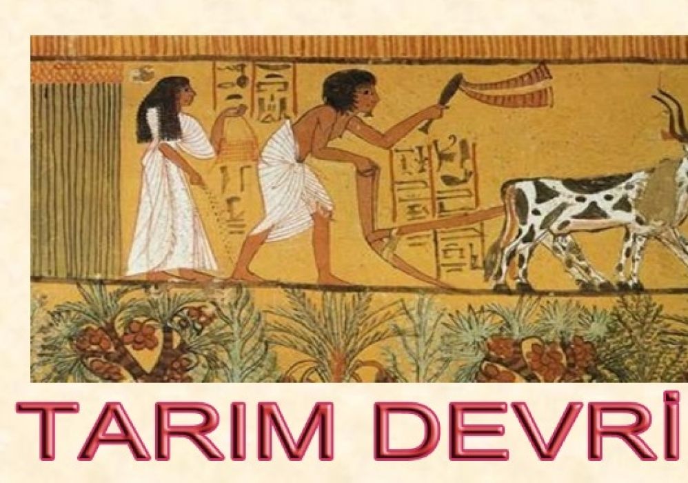 Eski Mısır'da  Günlük Hayat ve Yaşam