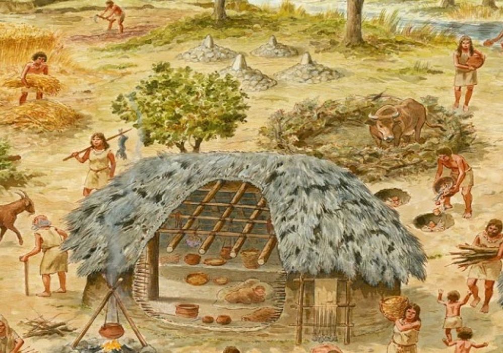 3. ÜNİTE