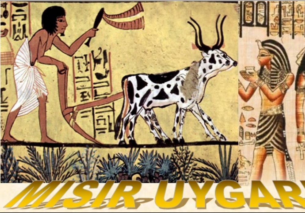 Mısır , Pers, Çin Uygarlıkları