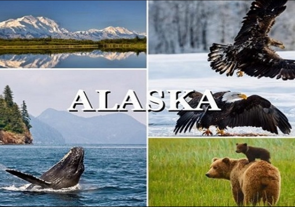 Alaska